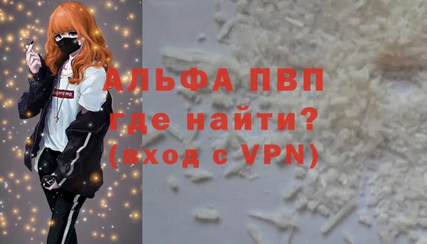 стафф Осташков