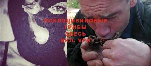 стафф Осташков