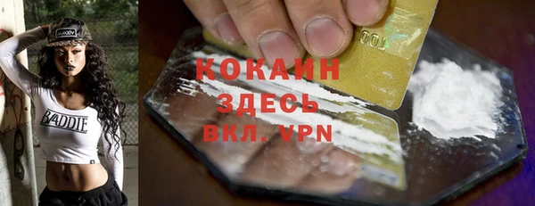 стафф Осташков