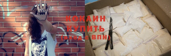 стафф Осташков