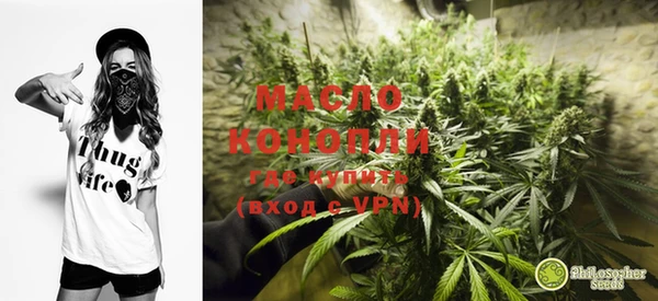 стафф Осташков