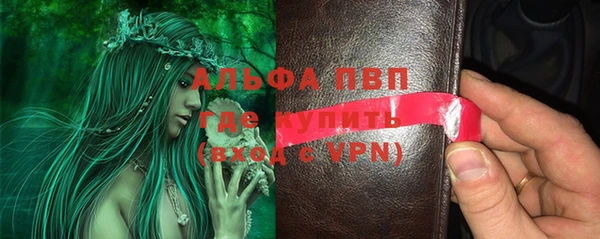 стафф Осташков