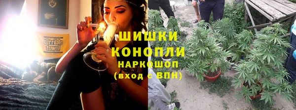 стафф Осташков