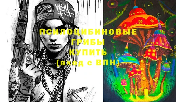 стафф Осташков