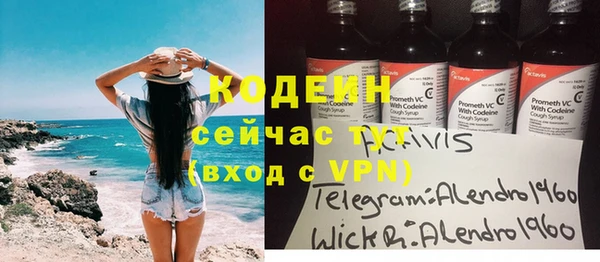 стафф Осташков