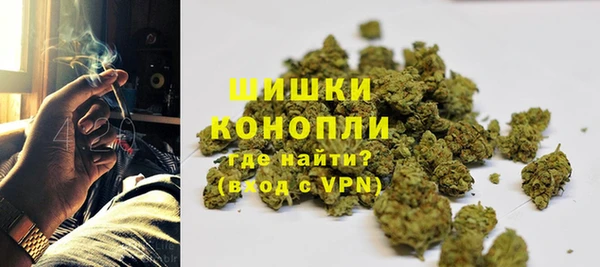 стафф Осташков