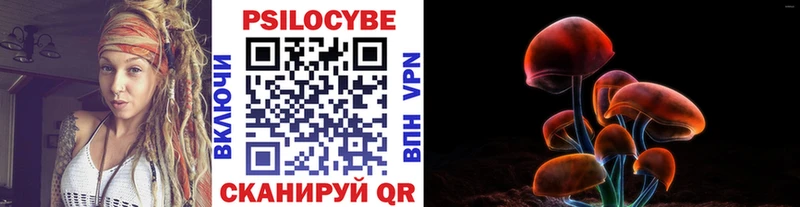 купить закладку  Торжок  Галлюциногенные грибы Psilocybine cubensis 